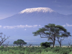 Tsavo Ovest, Amboseli e Tsavo Est